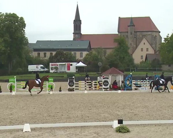 Reitturnier Frankenhof-Sonnefeld/Ofr. 2022
