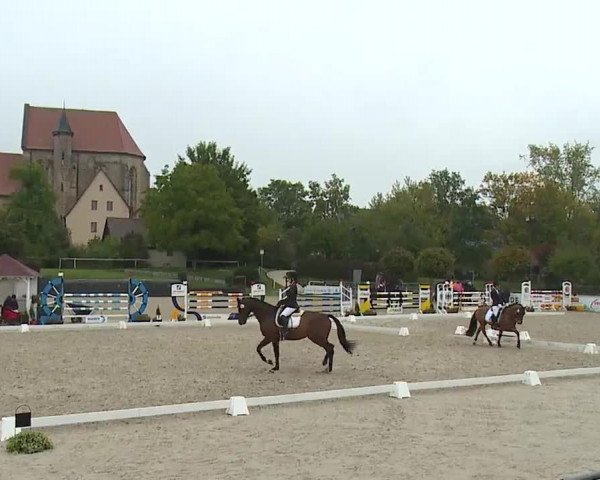Reitturnier Frankenhof-Sonnefeld/Ofr. 2022