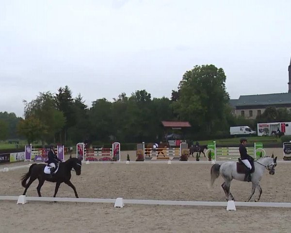 Reitturnier Frankenhof-Sonnefeld/Ofr. 2022