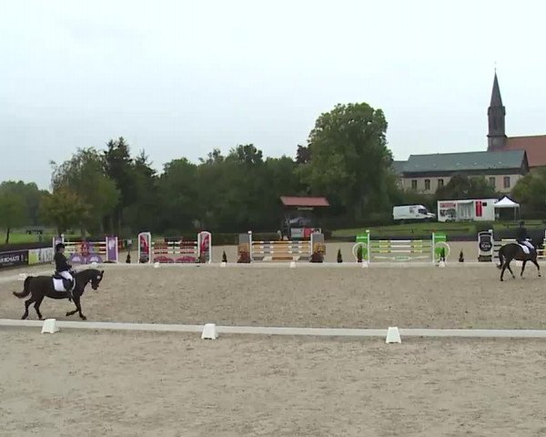 Reitturnier Frankenhof-Sonnefeld/Ofr. 2022
