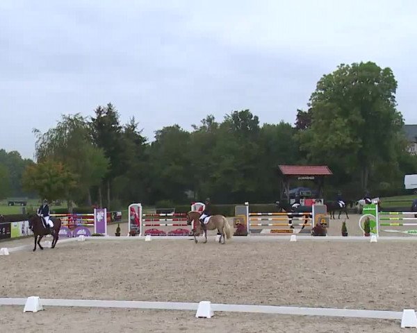 Reitturnier Frankenhof-Sonnefeld/Ofr. 2022