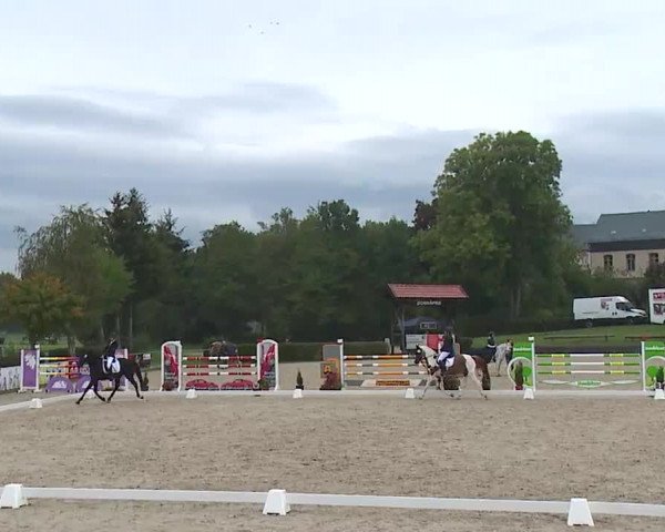 Reitturnier Frankenhof-Sonnefeld/Ofr. 2022