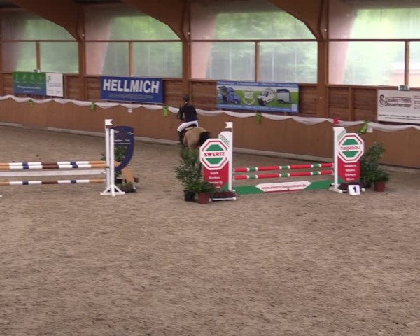 4. Ponyspringturnier Xanten - Reitanlage Miß 2022