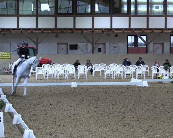 Reitturnier Kamen 2022