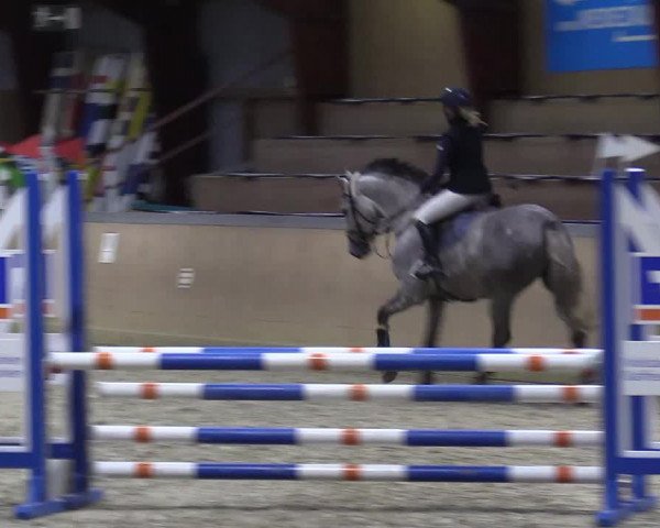 Behrendorfer Reitertage 2022