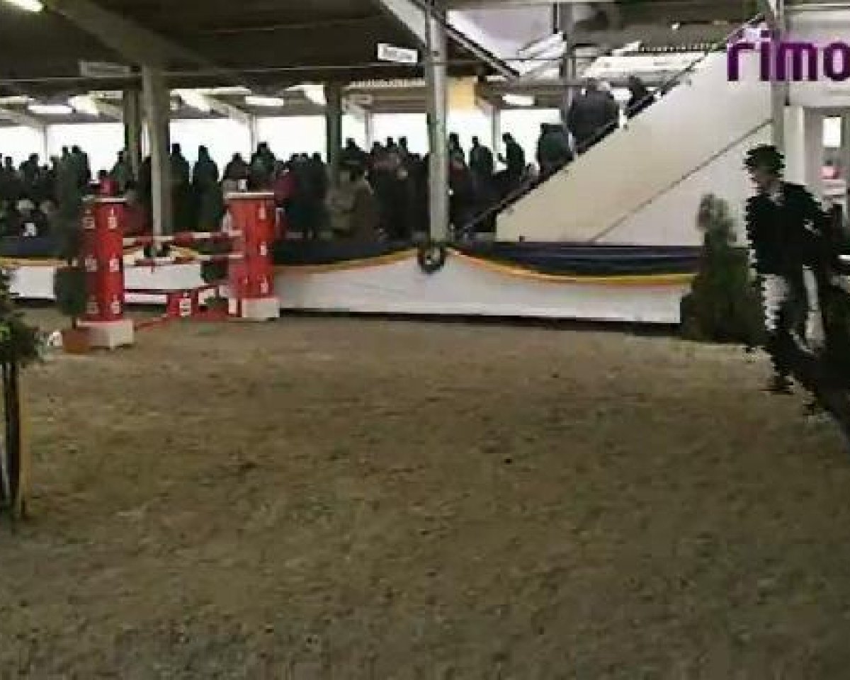 jumper Vaillant 3 (unknown, 2002)