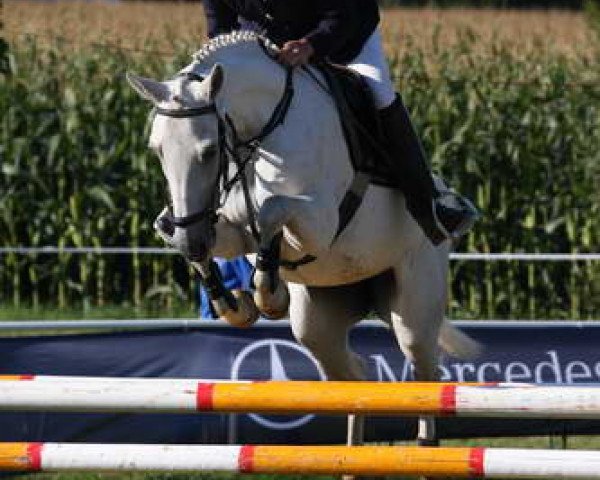 horse Magic Pia (German Riding Pony, 2003)