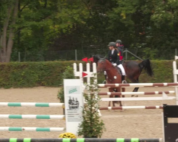 Reitturnier Böblingen 2022