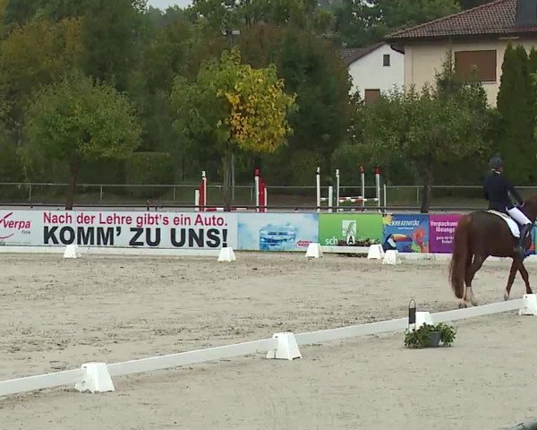 Reitturnier Frankenhof-Sonnefeld/Ofr. 2022