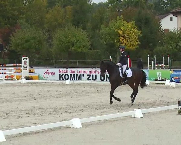 Reitturnier Frankenhof-Sonnefeld/Ofr. 2022