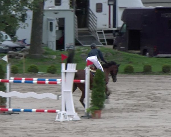 Reitturnier Basel Schänzli 2022
