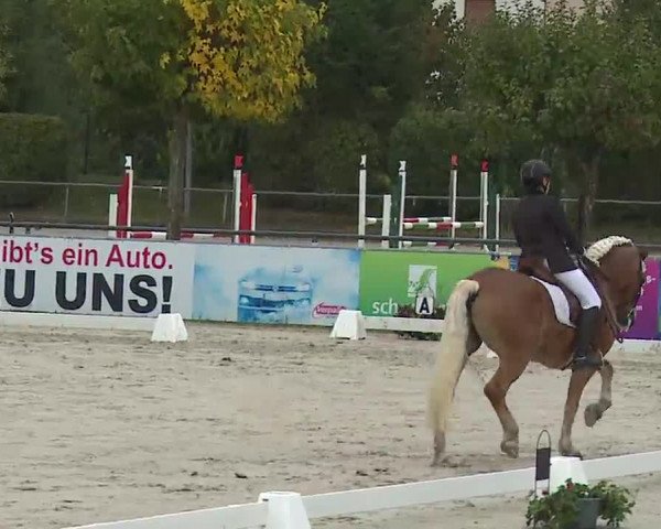 Reitturnier Frankenhof-Sonnefeld/Ofr. 2022