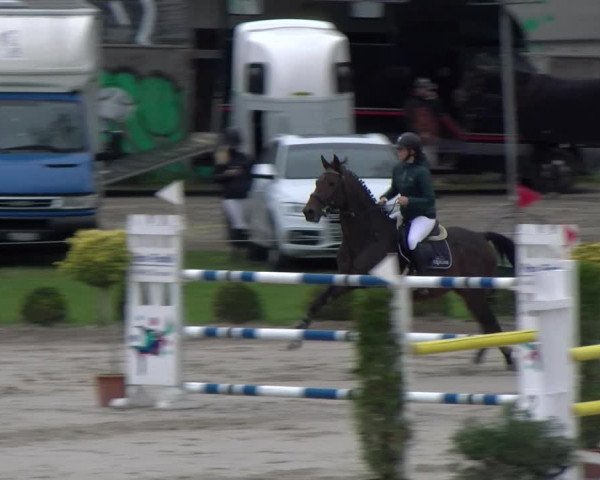 Reitturnier Basel Schänzli 2022