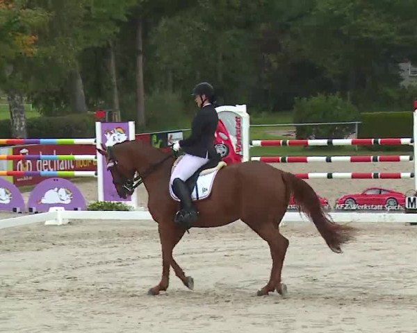 Reitturnier Frankenhof-Sonnefeld/Ofr. 2022