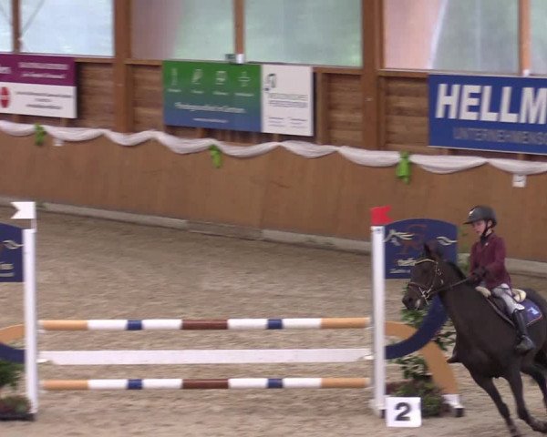 4. Ponyspringturnier Xanten - Reitanlage Miß 2022