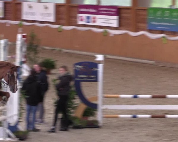 4. Ponyspringturnier Xanten - Reitanlage Miß 2022