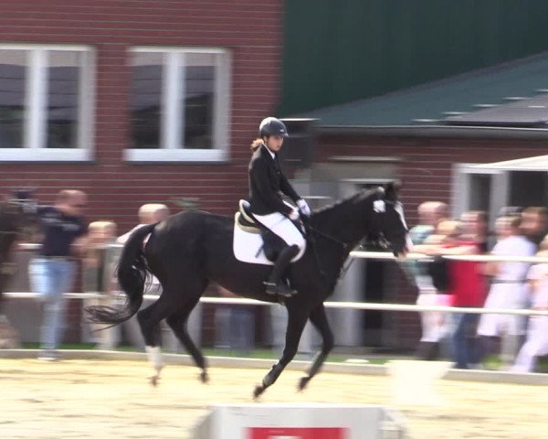 Springturnier Lüdinghausen 2021