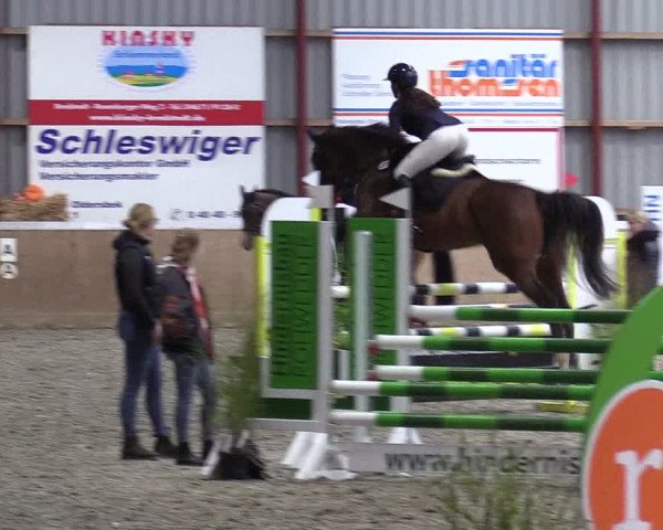 Behrendorfer Reitertage 2022