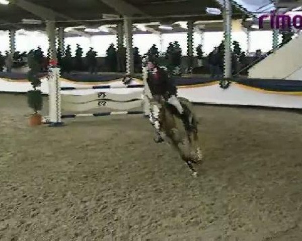 jumper Cheyenne 639 (Pony without race description, 2001, from Poldy)
