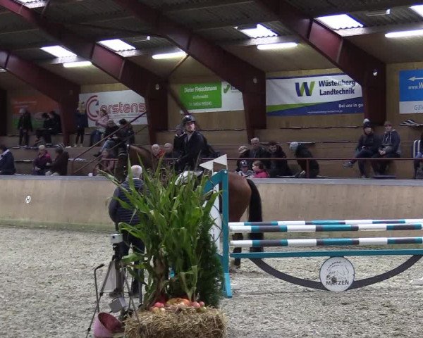 Behrendorfer Reitertage 2022