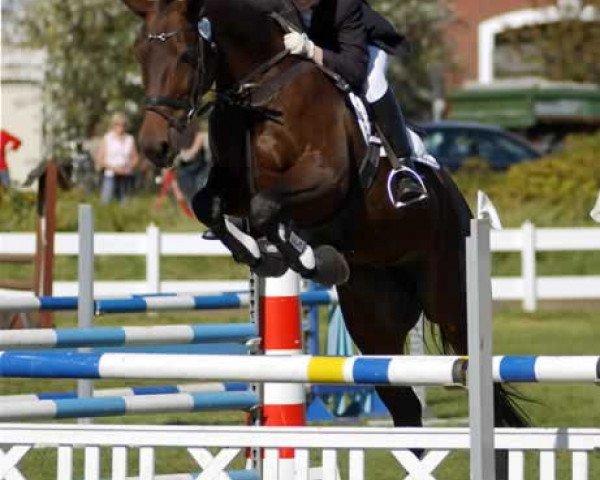 horse Rosebud (Rhinelander, 1996, from Rachmaninoff)