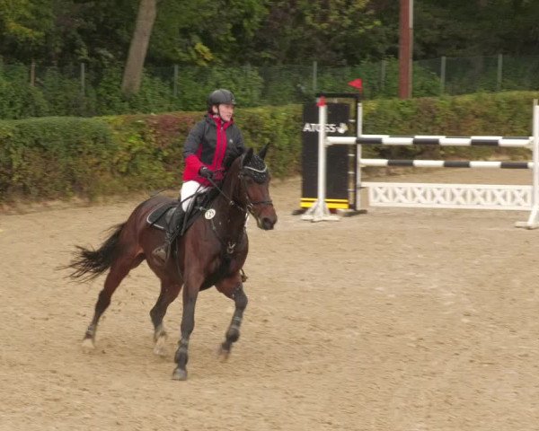 Reitturnier Böblingen 2022
