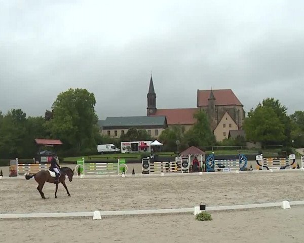 Reitturnier Frankenhof-Sonnefeld/Ofr. 2022