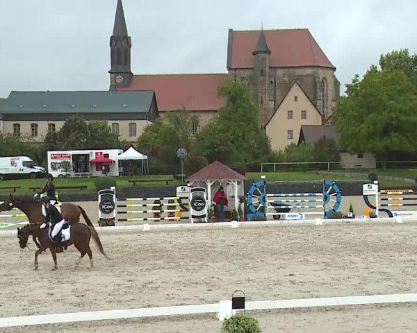 Reitturnier Frankenhof-Sonnefeld/Ofr. 2022