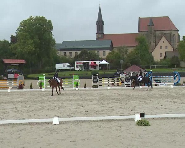 Reitturnier Frankenhof-Sonnefeld/Ofr. 2022