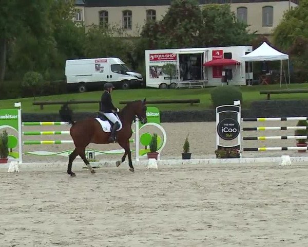 Reitturnier Frankenhof-Sonnefeld/Ofr. 2022