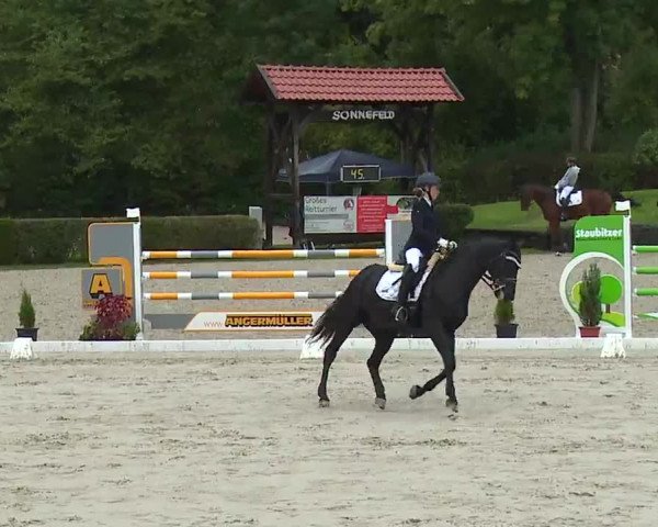 Reitturnier Frankenhof-Sonnefeld/Ofr. 2022