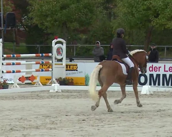 Reitturnier Frankenhof-Sonnefeld/Ofr. 2022