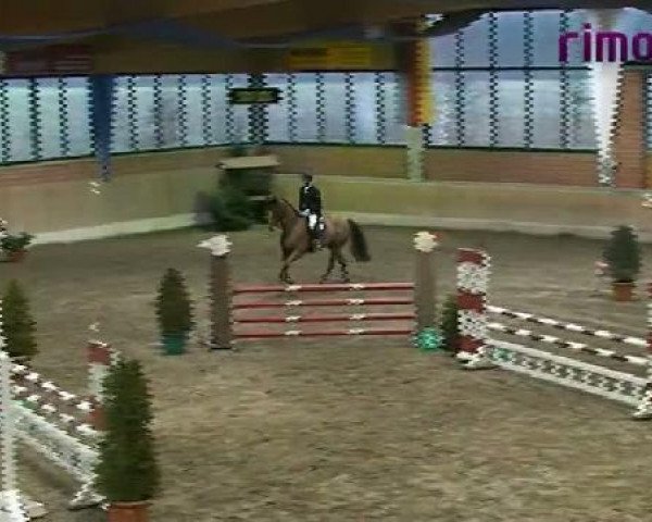 broodmare La Baba Jaga (Westphalian, 2005, from Lenardo)