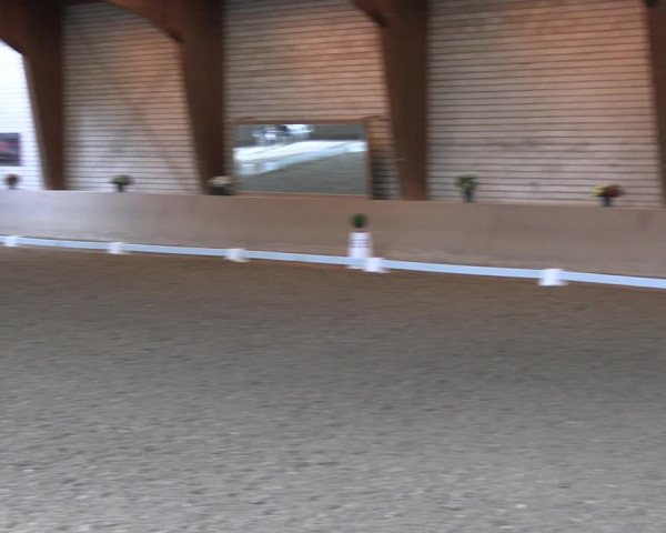 Reitturnier Kamen 2022