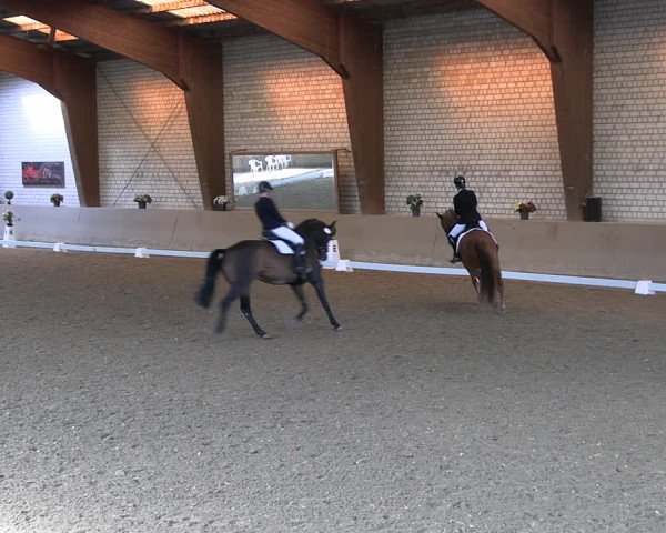 Reitturnier Kamen 2022