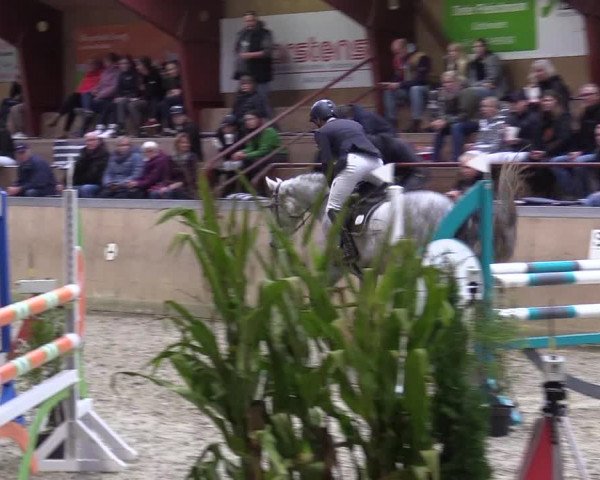 Behrendorfer Reitertage 2022