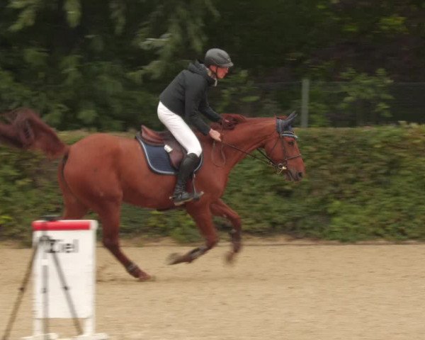 Reitturnier Böblingen 2022