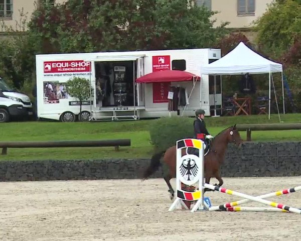 Reitturnier Frankenhof-Sonnefeld/Ofr. 2022