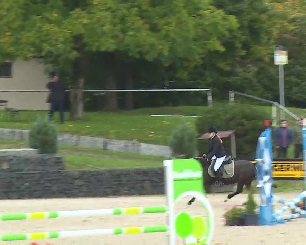 Reitturnier Frankenhof-Sonnefeld/Ofr. 2022