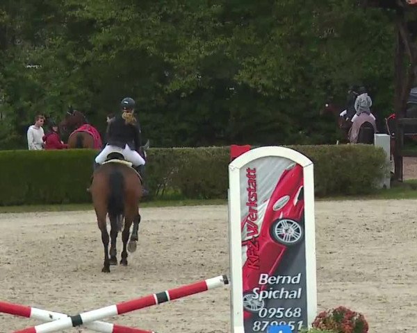 Reitturnier Frankenhof-Sonnefeld/Ofr. 2022