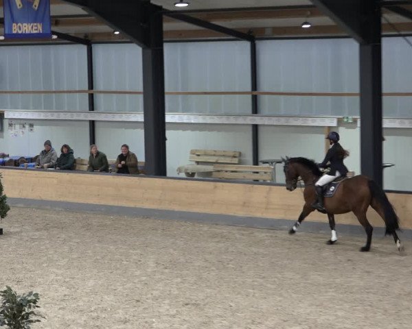 Reitturnier Borken 2022
