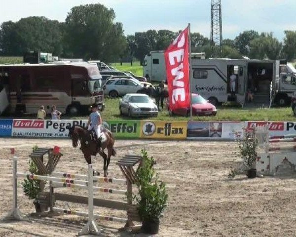jumper Al most heaven (Hanoverian, 2005, from Ars Vivendi)