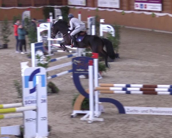 4. Ponyspringturnier Xanten - Reitanlage Miß 2022