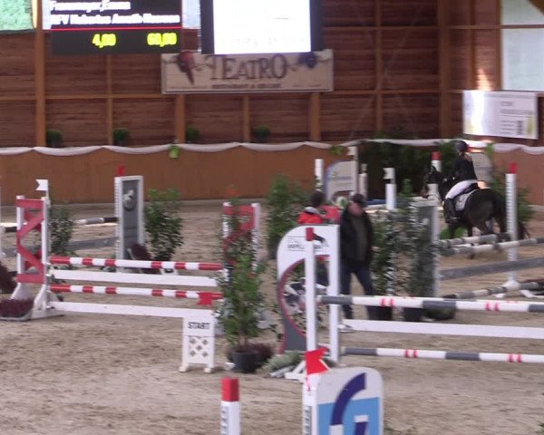 4. Ponyspringturnier Xanten - Reitanlage Miß 2022