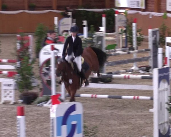 4. Ponyspringturnier Xanten - Reitanlage Miß 2022