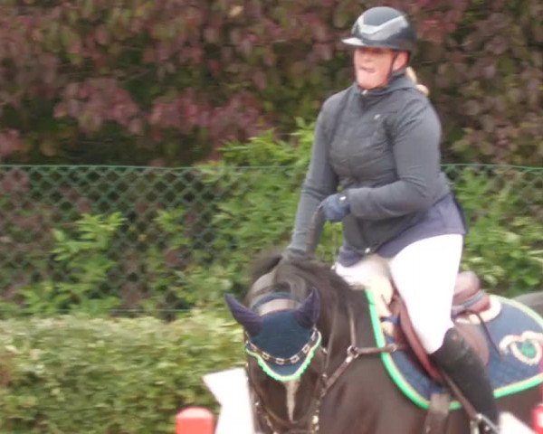 Reitturnier Böblingen 2022
