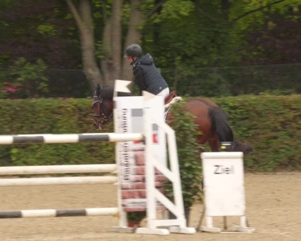 Reitturnier Böblingen 2022