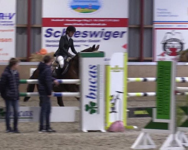 Behrendorfer Reitertage 2022