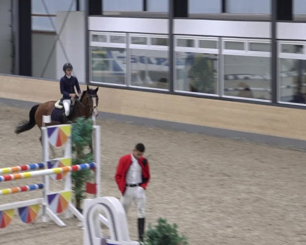 Reitturnier Borken 2022