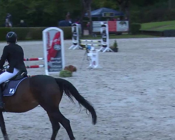 Reitturnier Frankenhof-Sonnefeld/Ofr. 2022